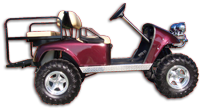 Custom Golf Carts