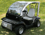 Capistrano Golf Cars 2 & 4 Passenger Ford Think